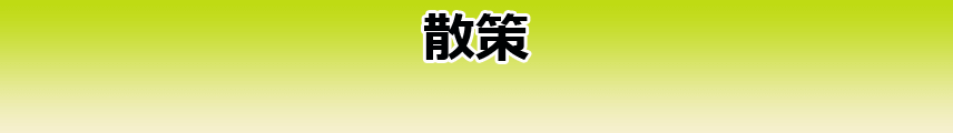 散策